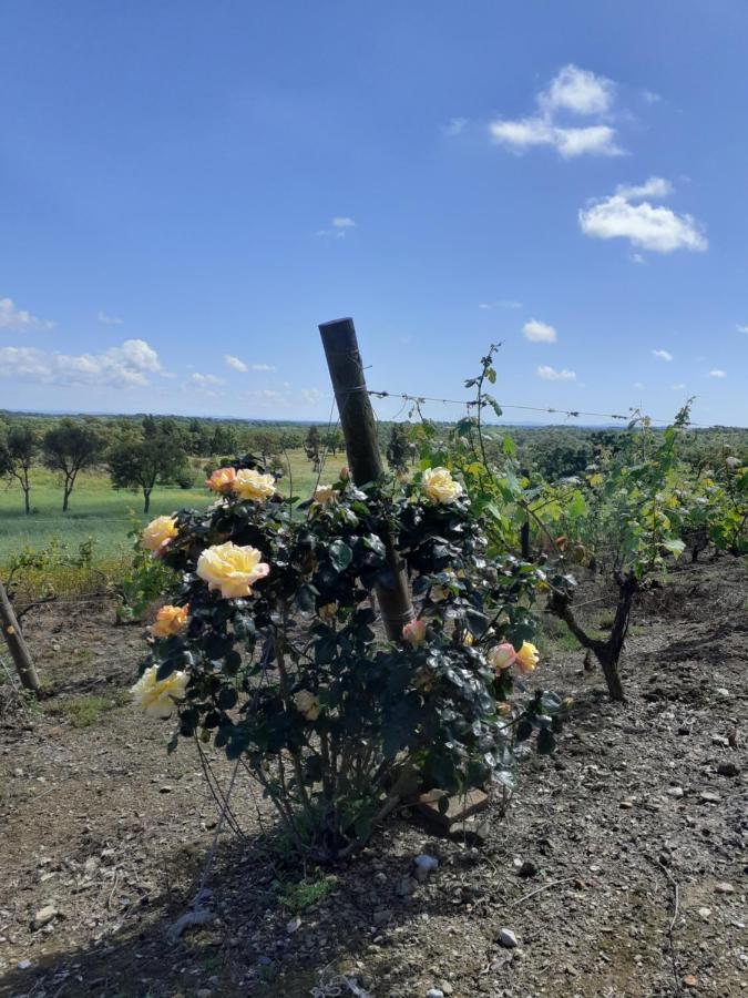 Monte Da Casa Branca By Hi Alentejo Hébergement de vacances